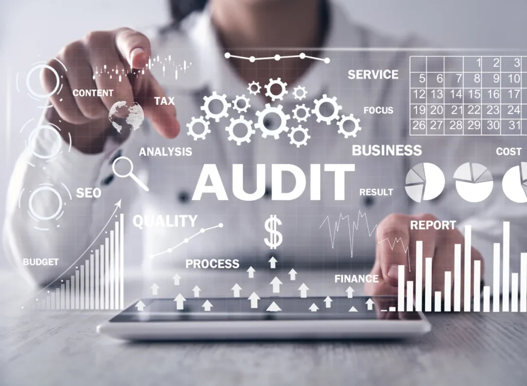 Website Success 1 website audit image
